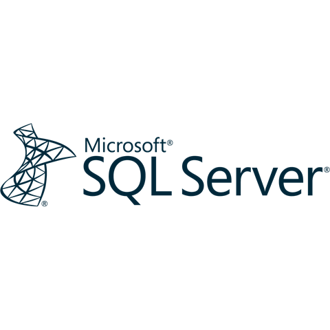 SQL Server logo